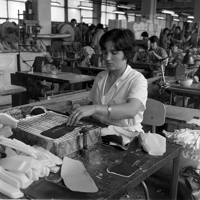 minerva_1983_c1_c8r1_014