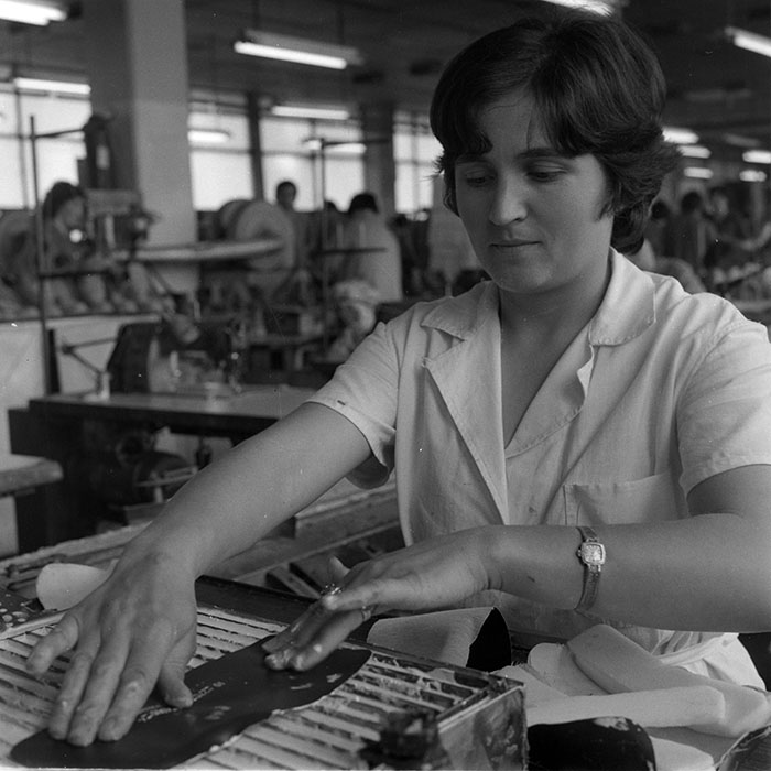 minerva_1983_c1_c8r1_016