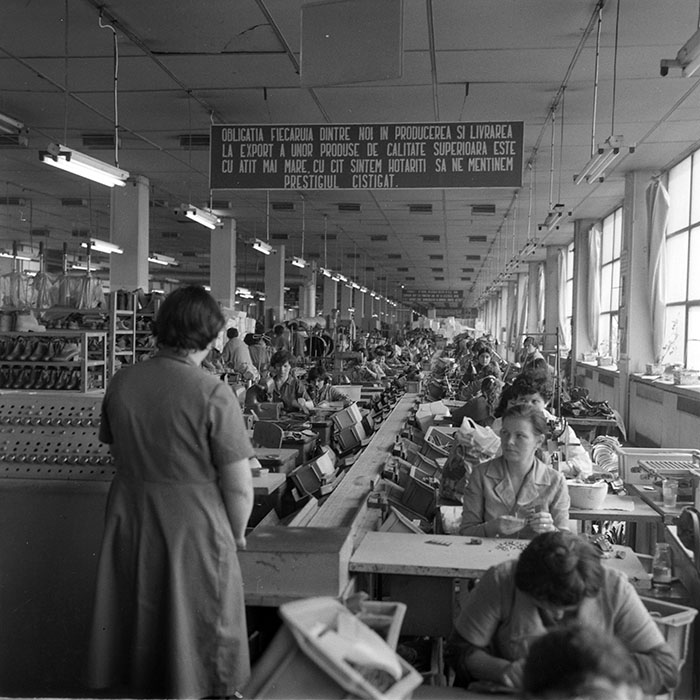 minerva_1983_c1_c8r1_017