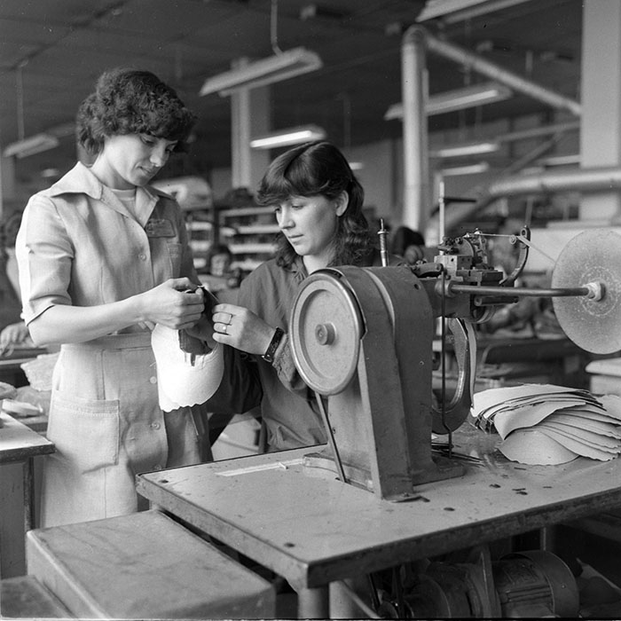 minerva_1983_c1_c8r1_019