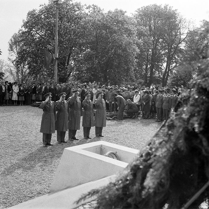 minerva_1983_c1_c8r4_001