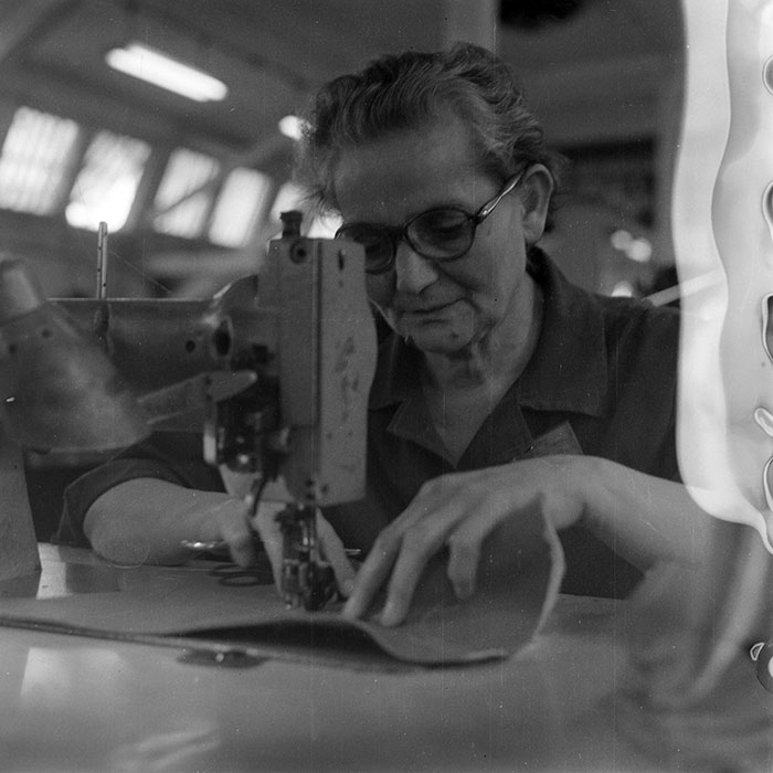 minerva_1983_c1_c8r5_001