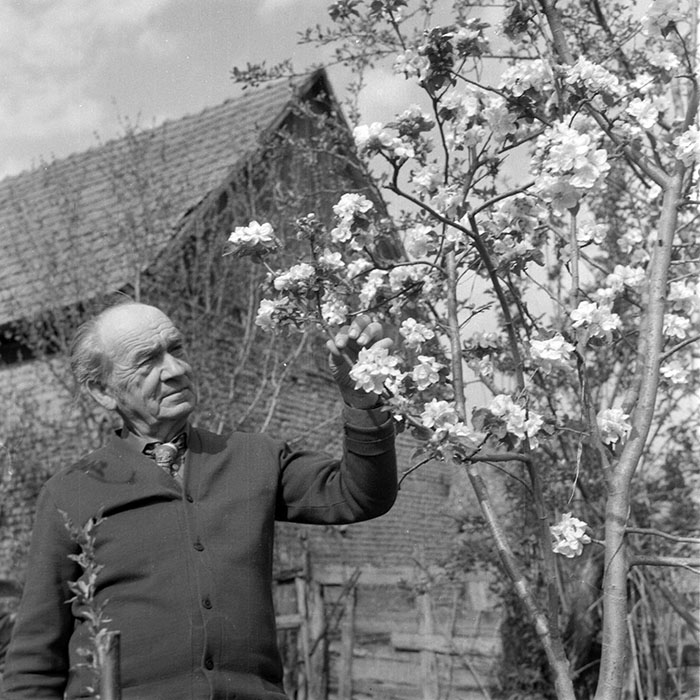 minerva_1983_c1_c8r5_006