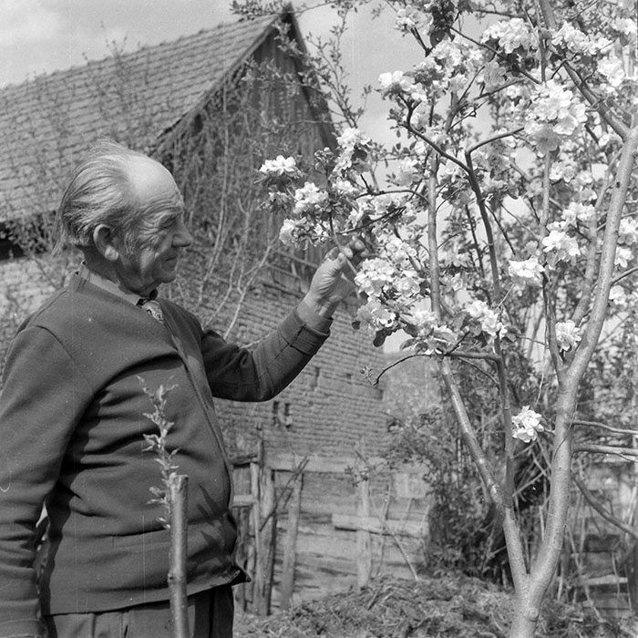 minerva_1983_c1_c8r5_007