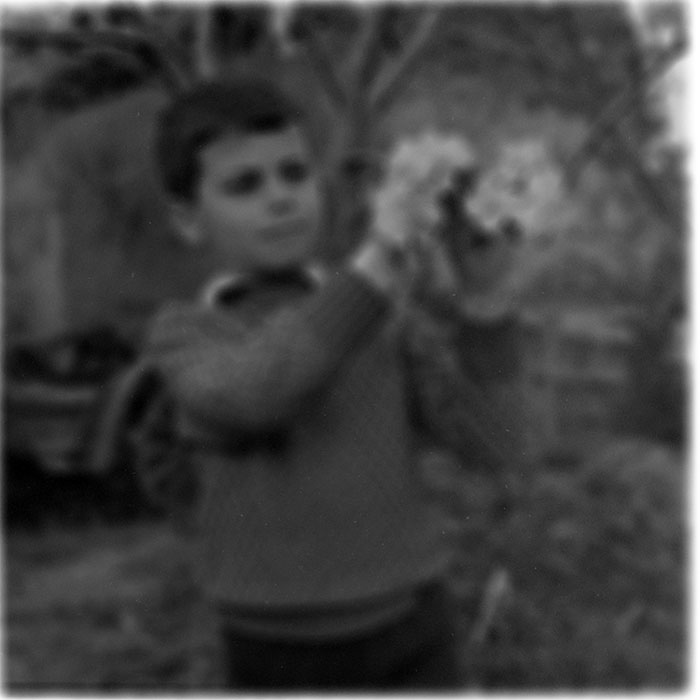 minerva_1983_c1_c8r5_008