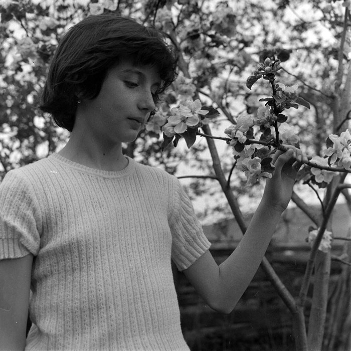 minerva_1983_c1_c8r5_010