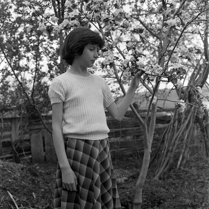 minerva_1983_c1_c8r5_011