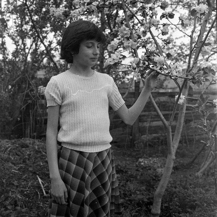 minerva_1983_c1_c8r5_012