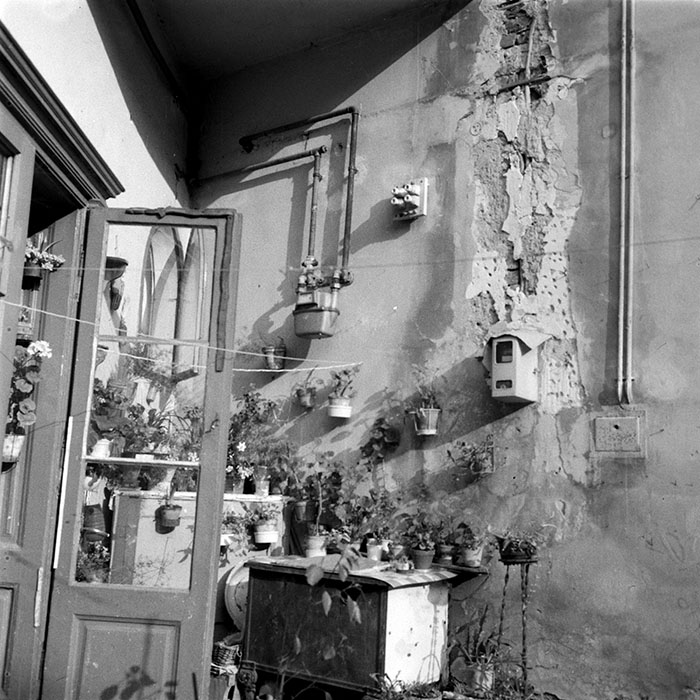 minerva_1983_c1_c9r1_006