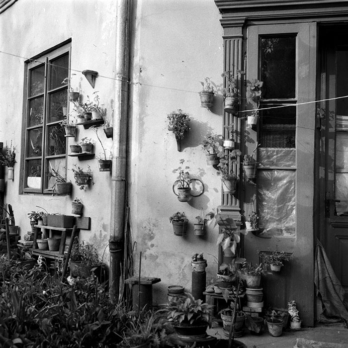 minerva_1983_c1_c9r1_007