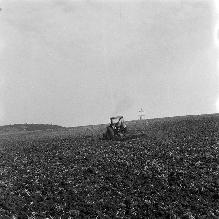 minerva_1983_c1_c9r3_002