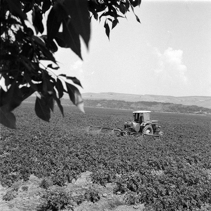 minerva_1983_c1_c9r3_005