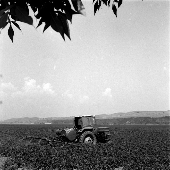 minerva_1983_c1_c9r3_006