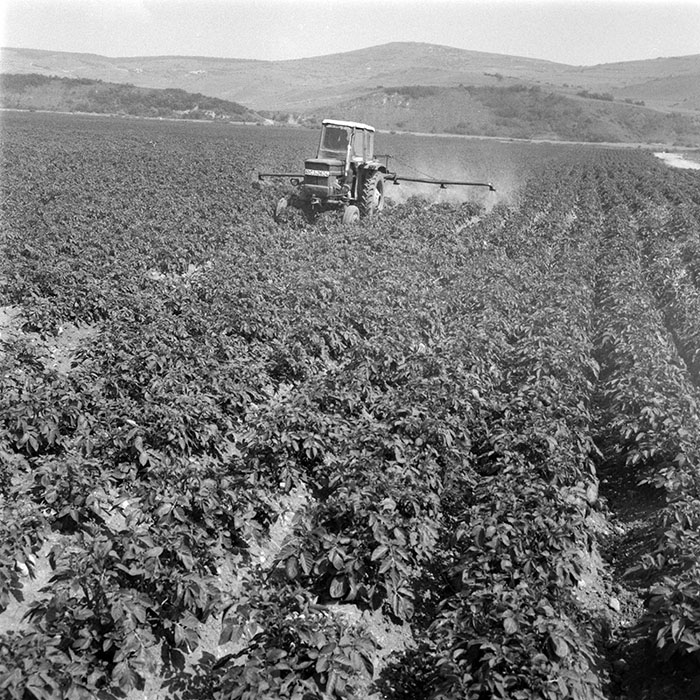 minerva_1983_c1_c9r3_007