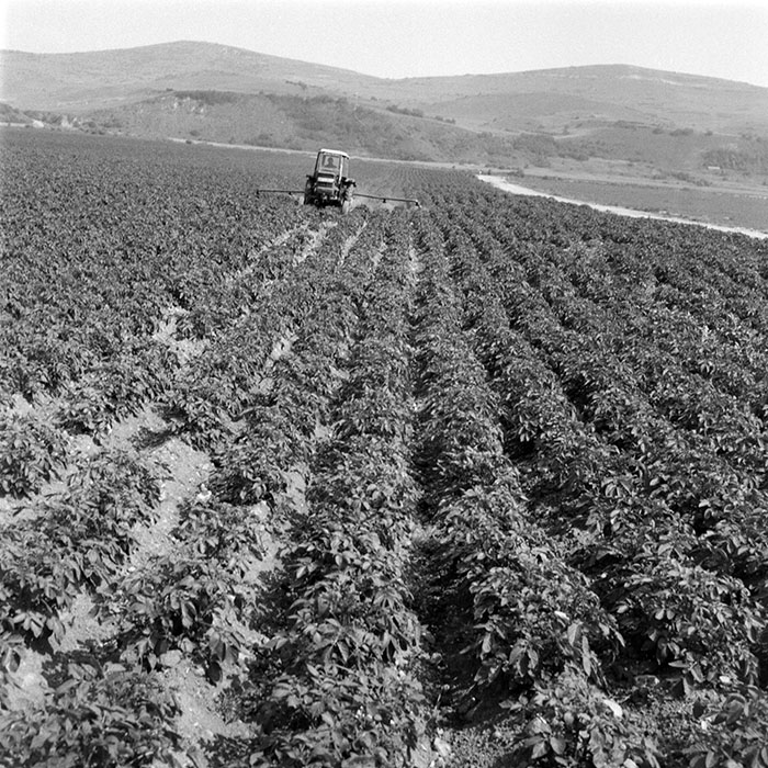 minerva_1983_c1_c9r3_008