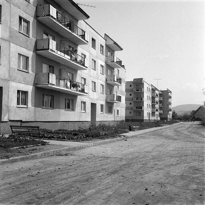 minerva_1983_c1_c9r3_009