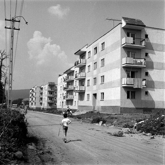 minerva_1983_c1_c9r3_015