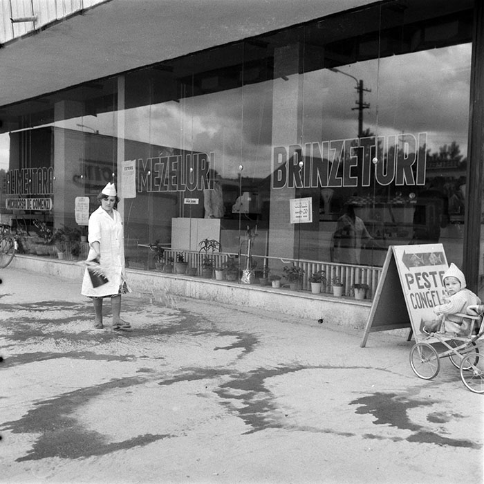 minerva_1983_c1_c9r4_010