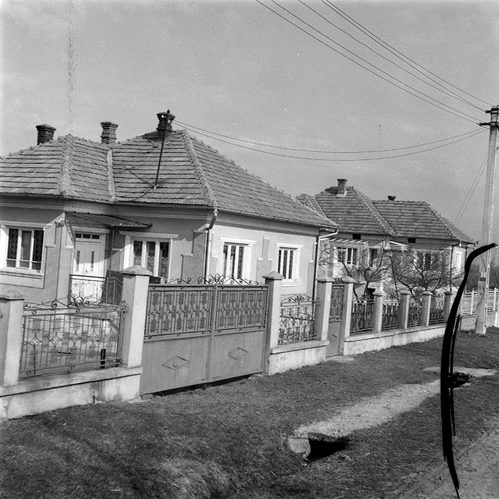 minerva_1984_c1_c10r1_001