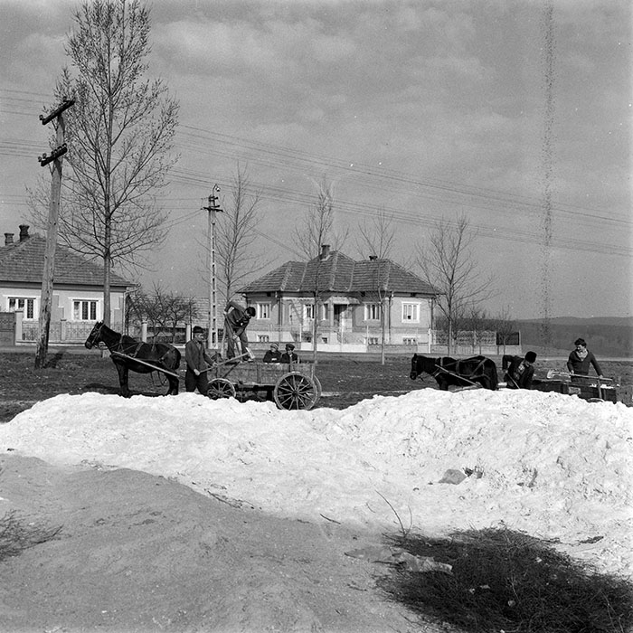 minerva_1984_c1_c10r1_003