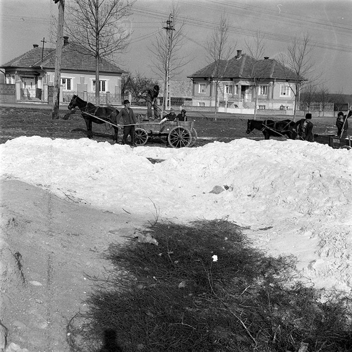 minerva_1984_c1_c10r1_005