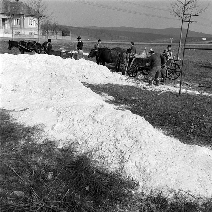 minerva_1984_c1_c10r1_006