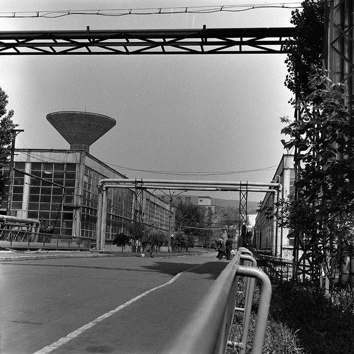 minerva_1984_c1_c10r5_009