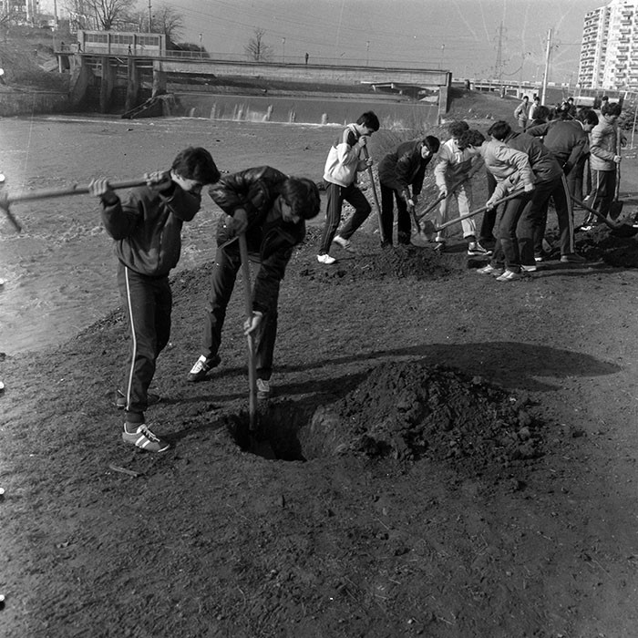 minerva_1984_c1_c3r4_003