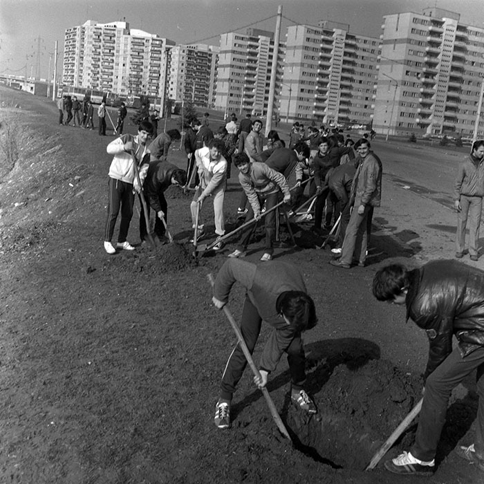 minerva_1984_c1_c3r4_005