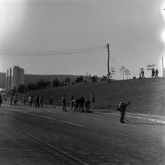 minerva_1984_c1_c3r4_006