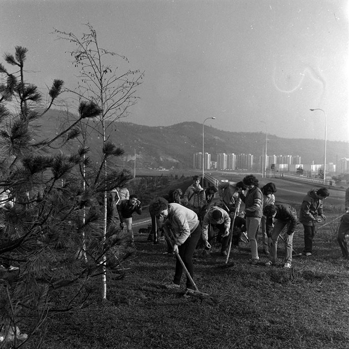 minerva_1984_c1_c3r4_010