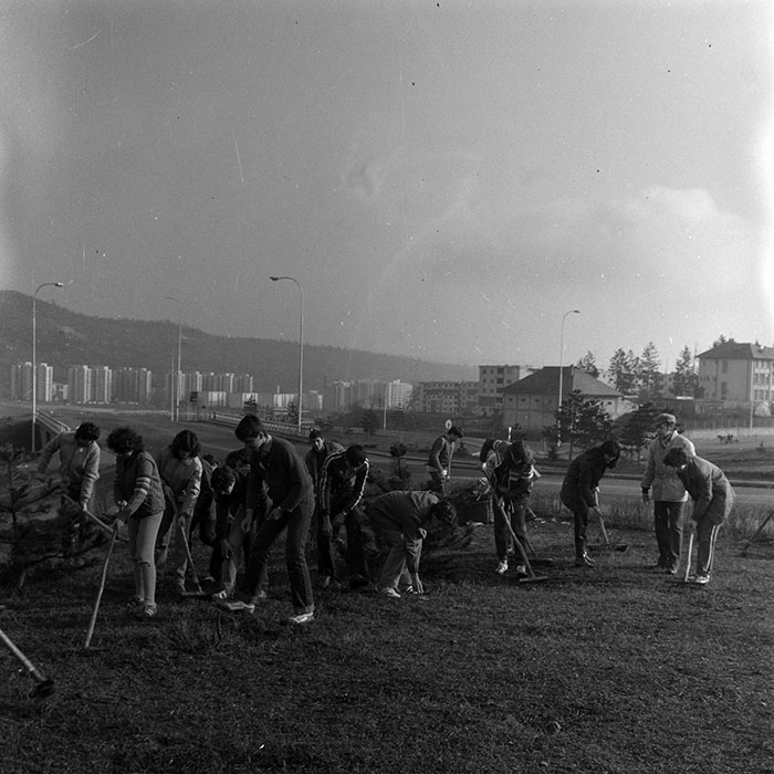 minerva_1984_c1_c3r4_011