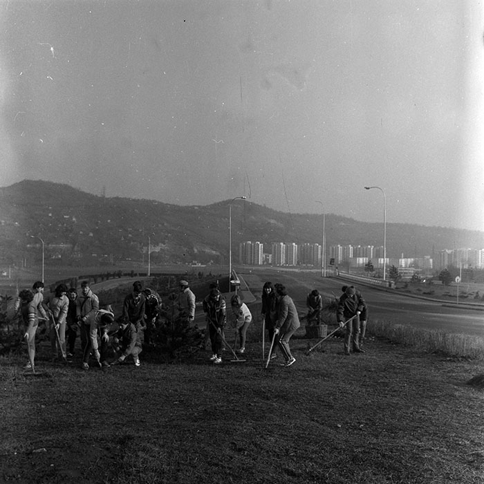 minerva_1984_c1_c3r4_012