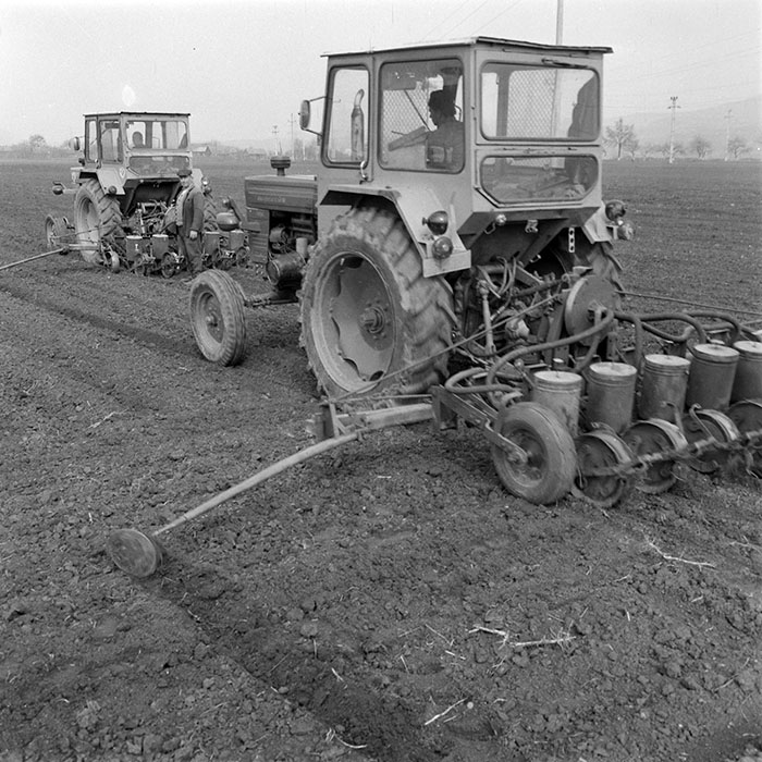 minerva_1984_c1_c3r5_001