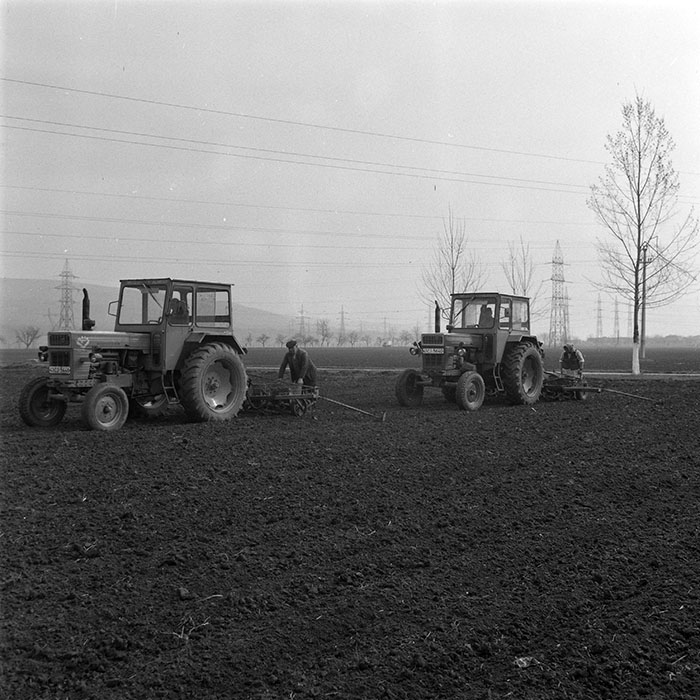 minerva_1984_c1_c3r5_004