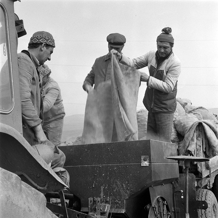 minerva_1984_c1_c3r5_005