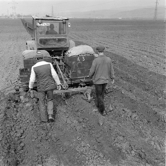 minerva_1984_c1_c3r5_007