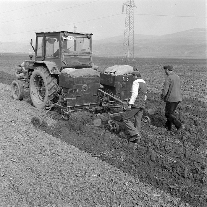 minerva_1984_c1_c3r5_008