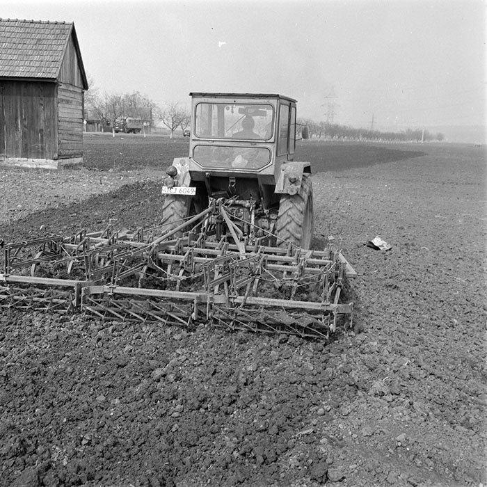 minerva_1984_c1_c3r5_010