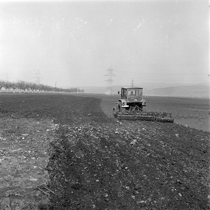 minerva_1984_c1_c3r5_011