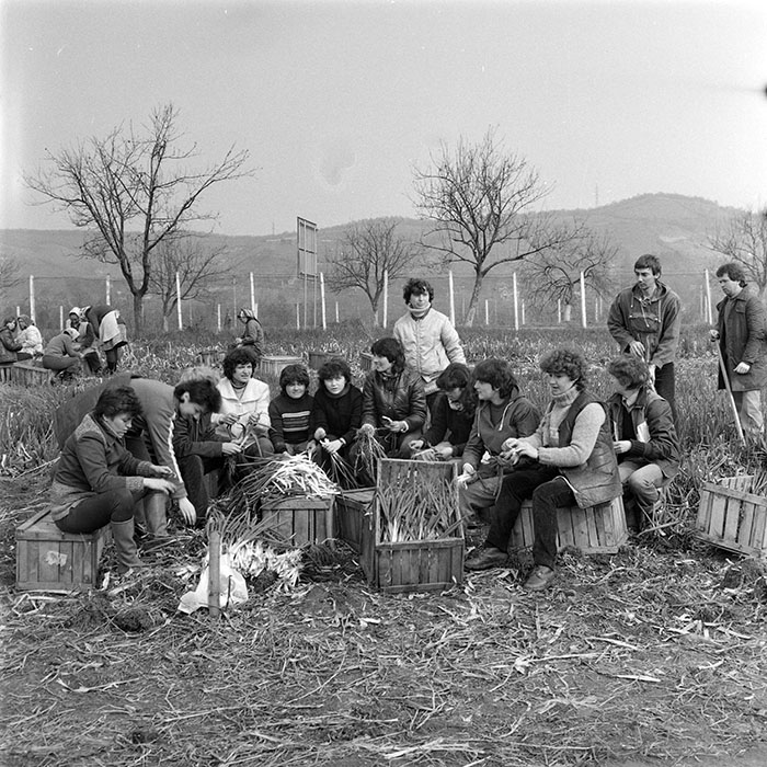 minerva_1984_c1_c4r1_010