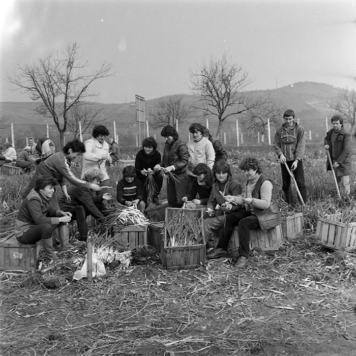 minerva_1984_c1_c4r1_011