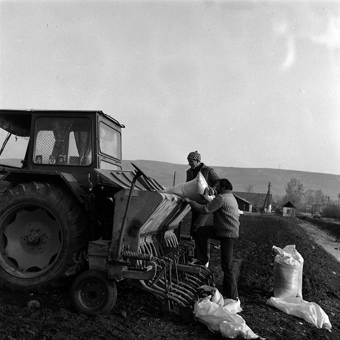 minerva_1984_c1_c4r2_001