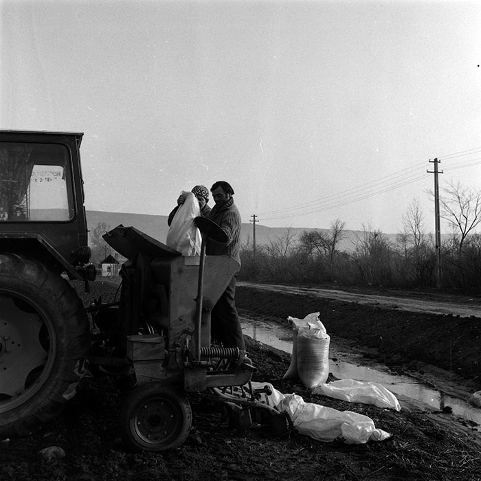 minerva_1984_c1_c4r2_002