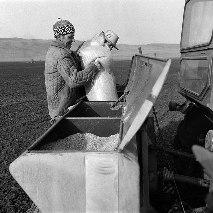 minerva_1984_c1_c4r2_003