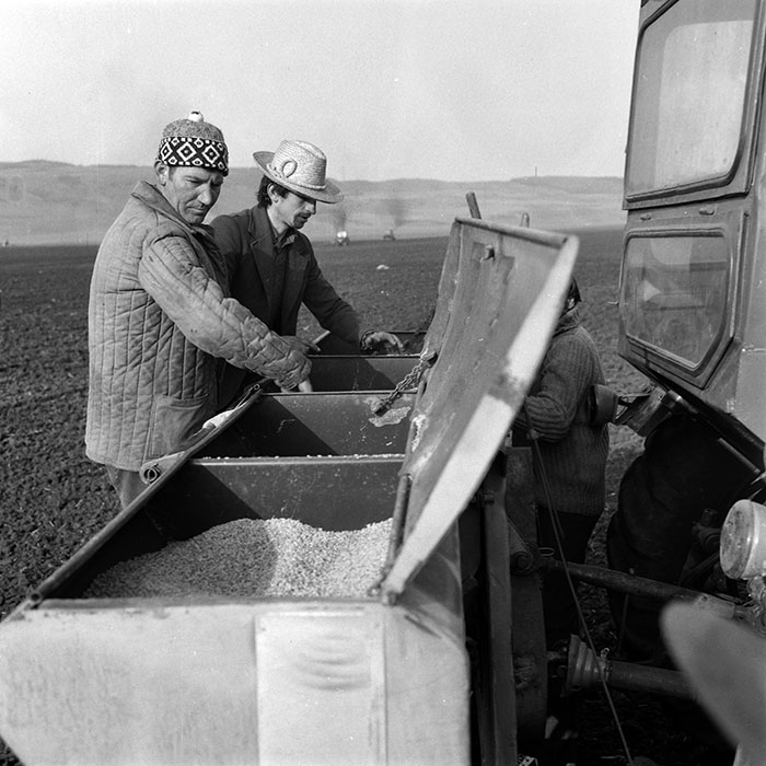 minerva_1984_c1_c4r2_005