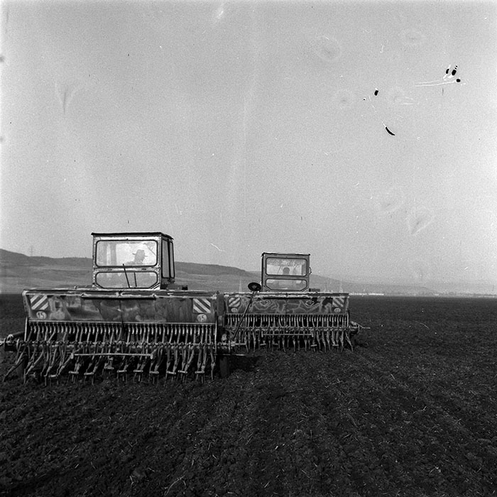 minerva_1984_c1_c4r2_006