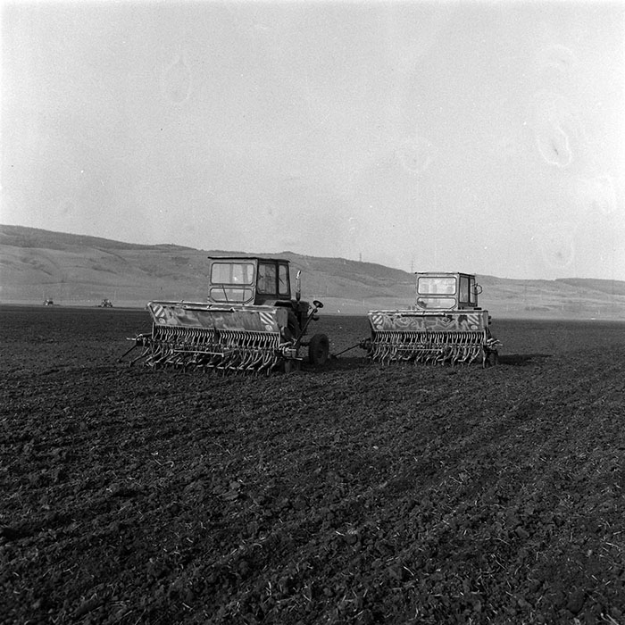 minerva_1984_c1_c4r2_007