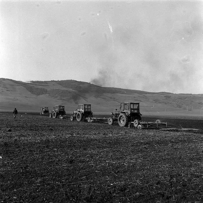 minerva_1984_c1_c4r2_010