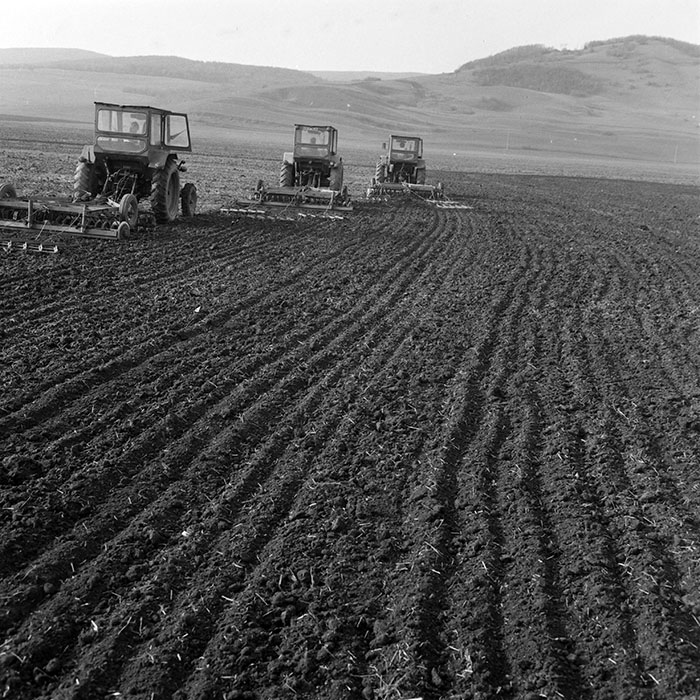 minerva_1984_c1_c4r2_011